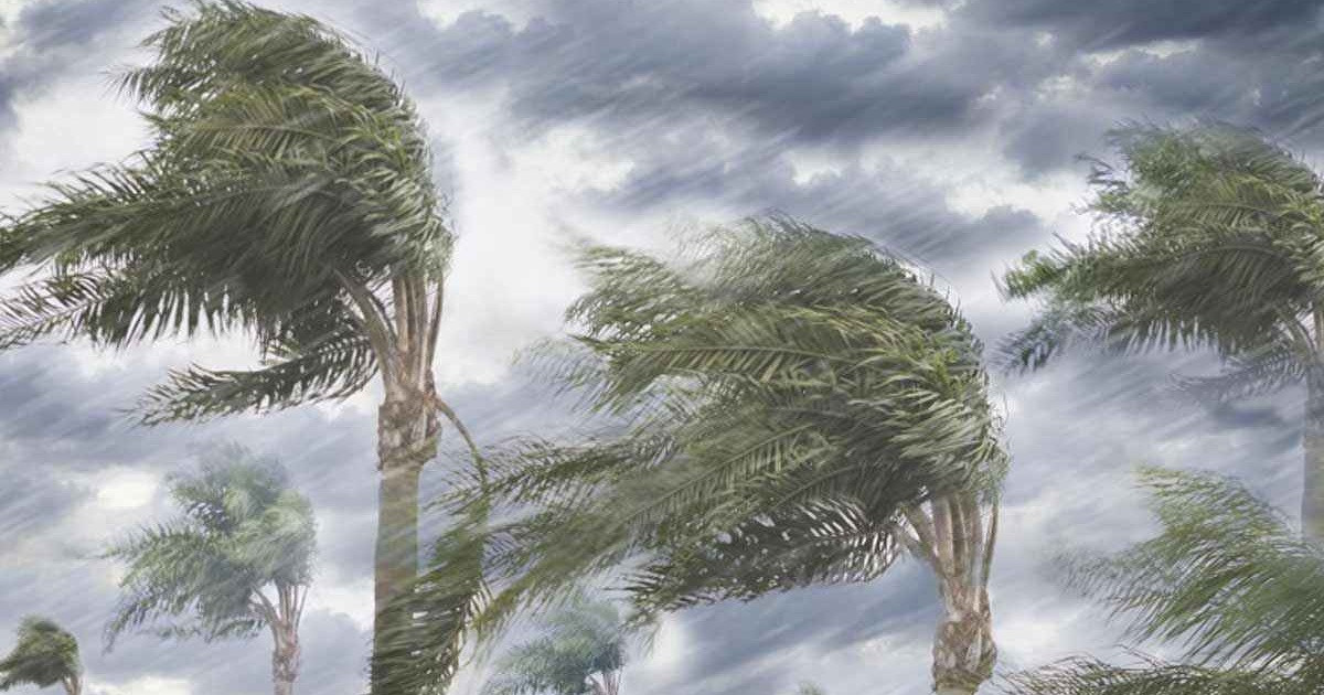 সাগরে লঘুচাপ, ৬০ কিমি বেগে ঝড়ের আভাস