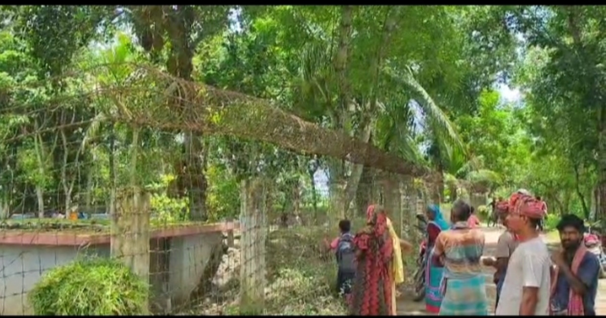 গাংনী সীমান্ত দিয়ে আরও ৮ জনকে ঠেলে পাঠালো বিএসএফ