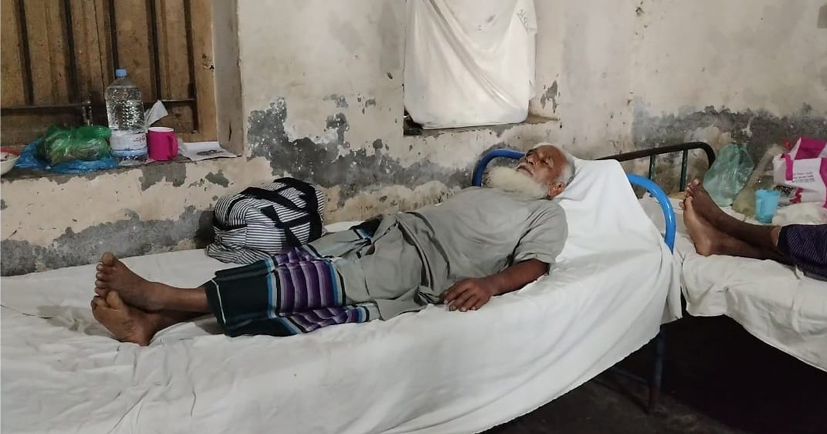ঘাস কাটার সময় রাসেল ভাইপারের ছোবল, পলিথিনে সাপ নিয়ে হাসপাতালে কৃষক