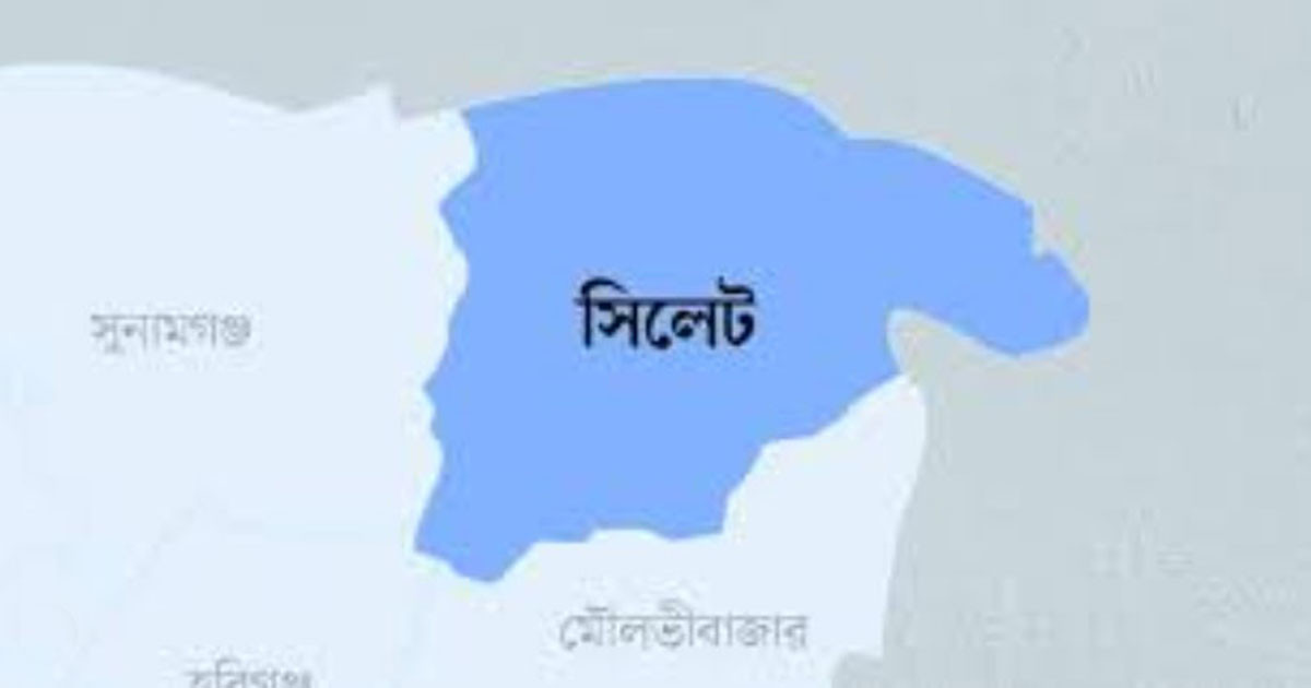 সেনাবাহিনীর ওপর হামলা: বিএনপি নেতাসহ ৯ জন কারাগারে