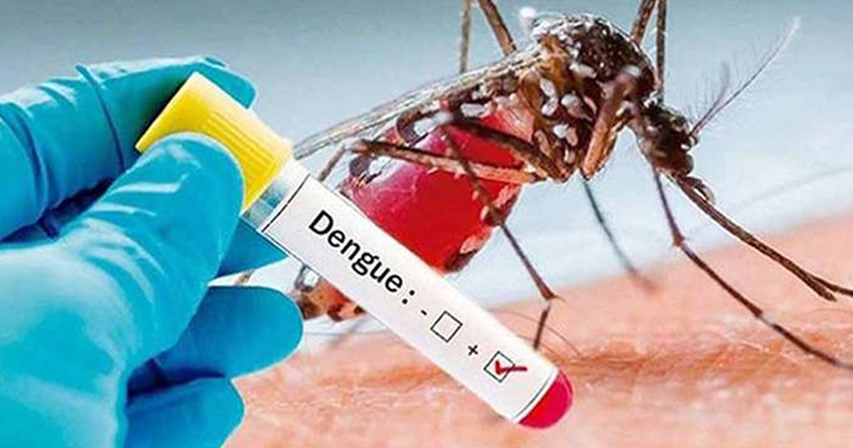 গত ২৪ ঘণ্টায় দেশে ডেঙ্গুতে আক্রান্ত ৪২৯