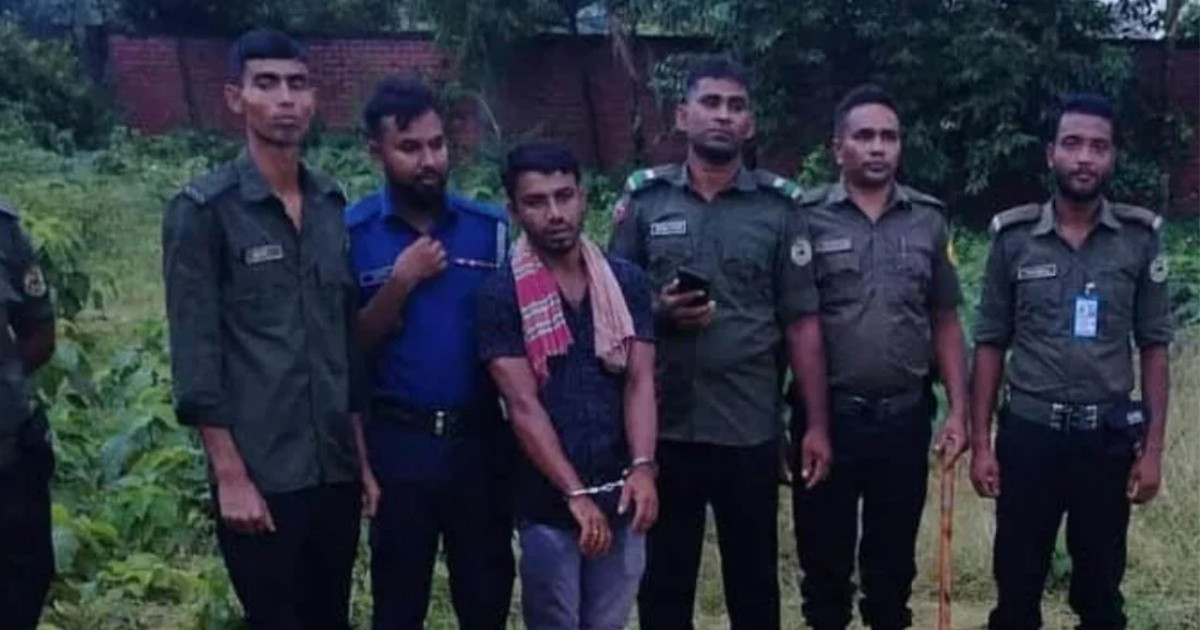 ঘোড়া জবাই করে মাংস বিক্রির চেষ্টা, আটক ১
