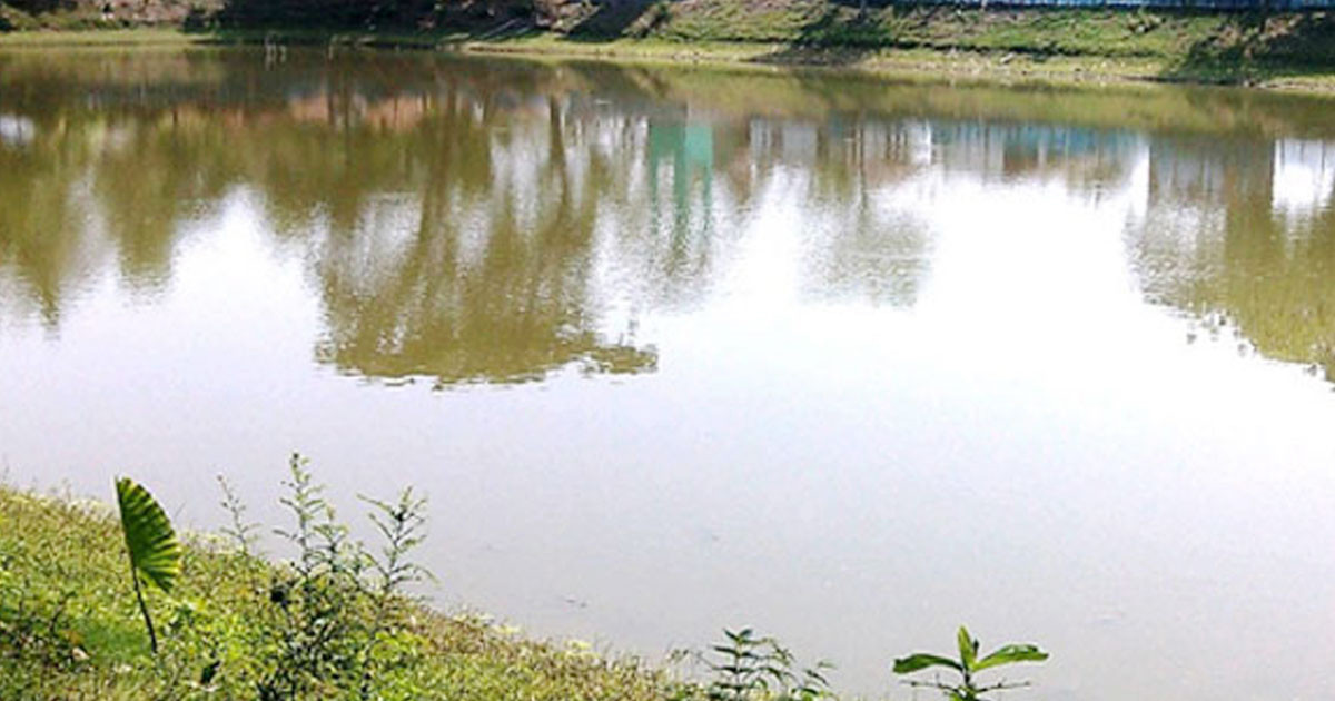 ভোলায় পুকুরে ডুবে প্রাণ গেল ২ শিশুর