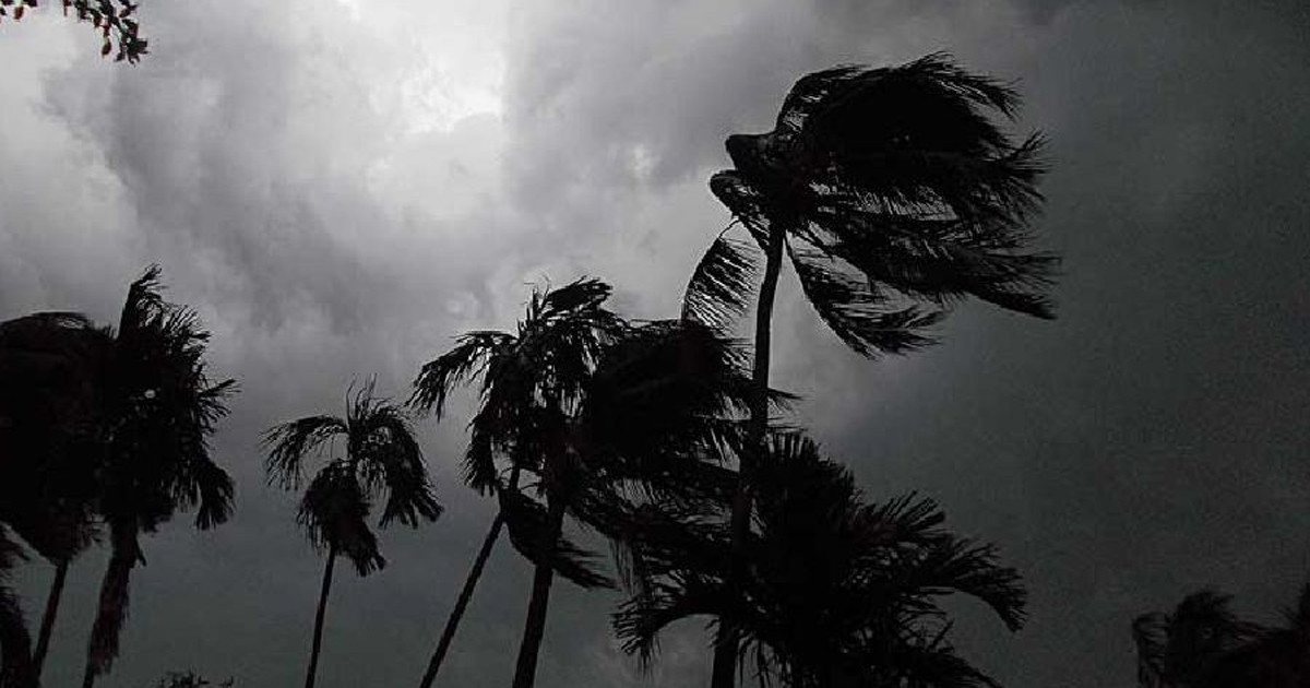 রাত ১টার মধ্যে যেসব জেলায় ঝড়ের আভাস