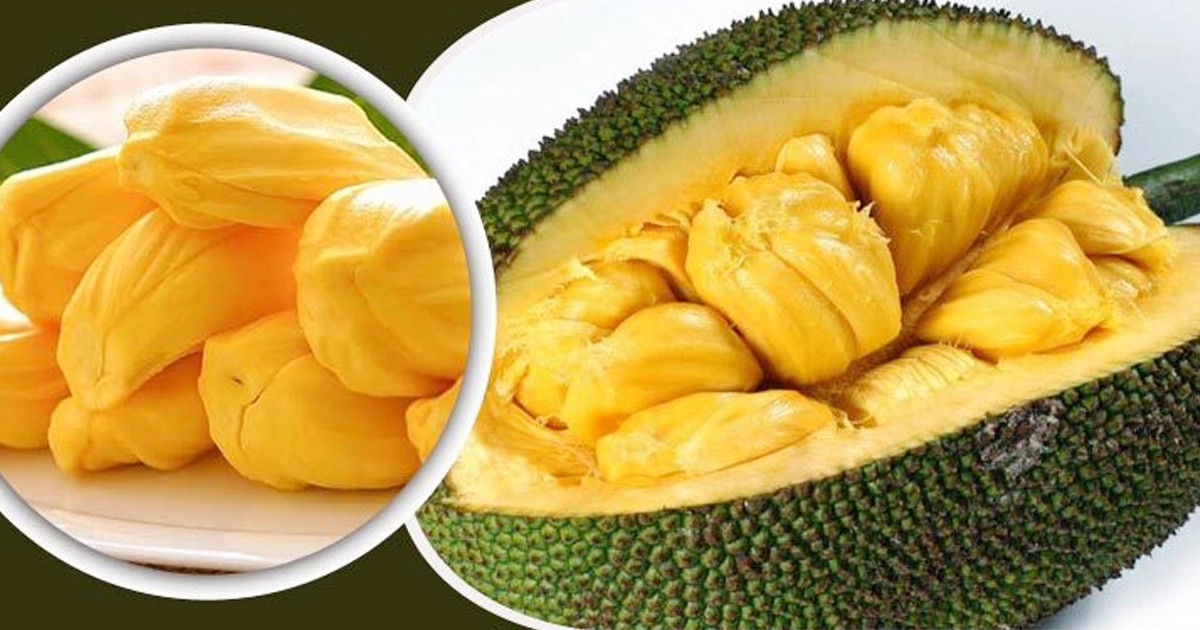 জমিয়ে কাঁঠাল খাওয়ার দিন আজ
