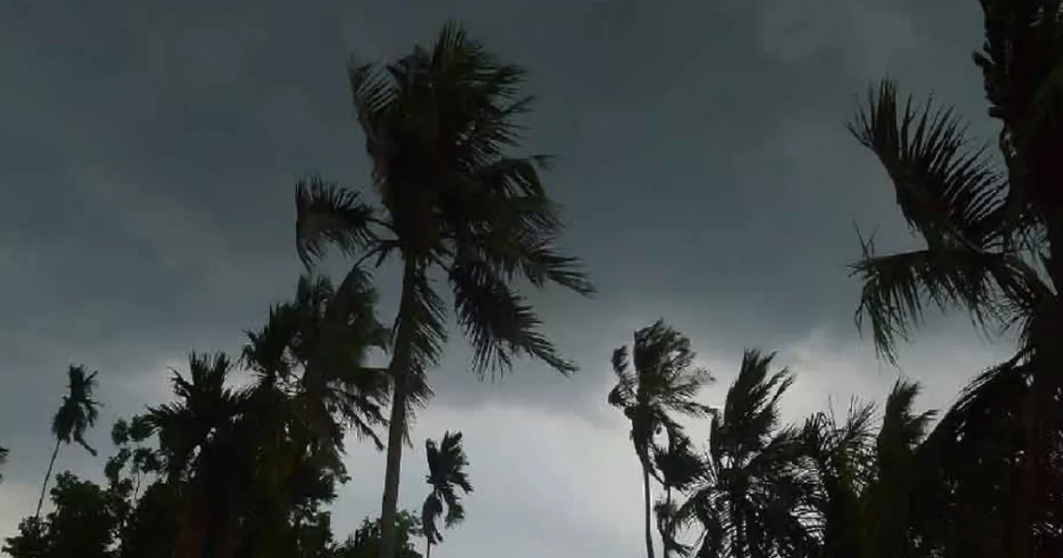 দুপুরের মধ্যে যেসব জেলায় ঝড়ের আভাস