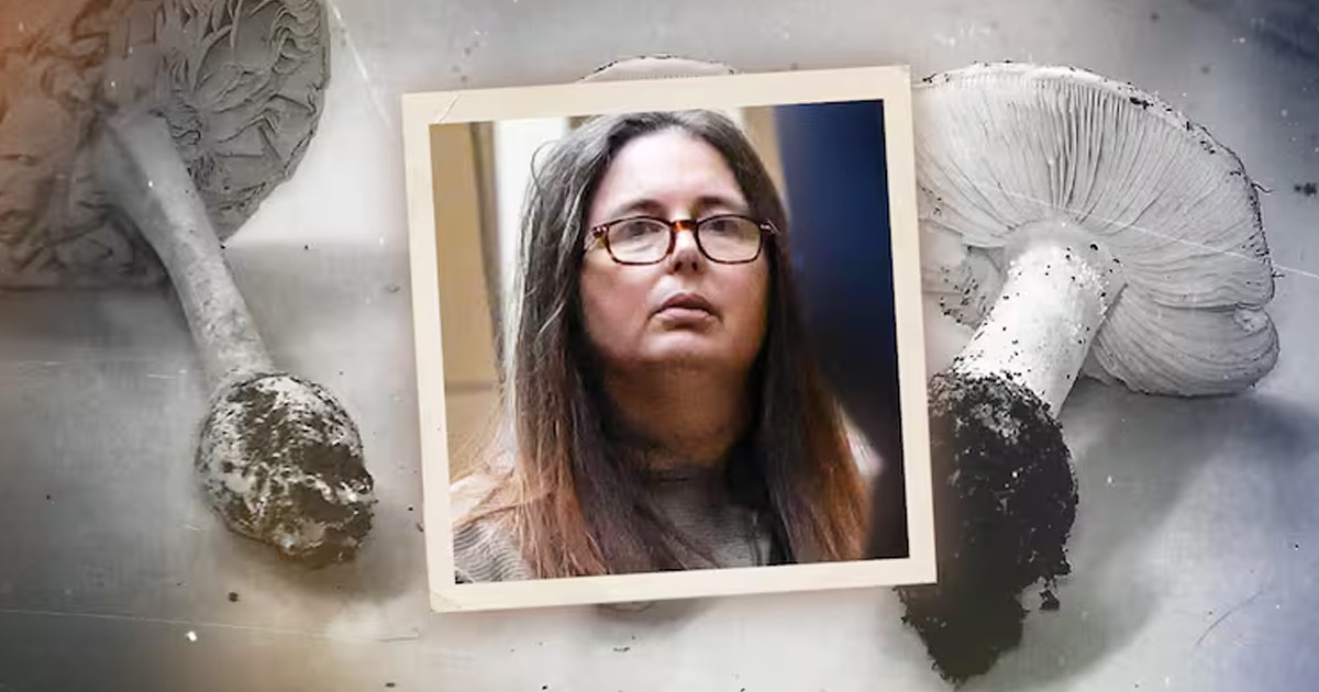 বিষাক্ত মাশরুম খাইয়ে স্বামীর আত্মীয়দের হত্যা!