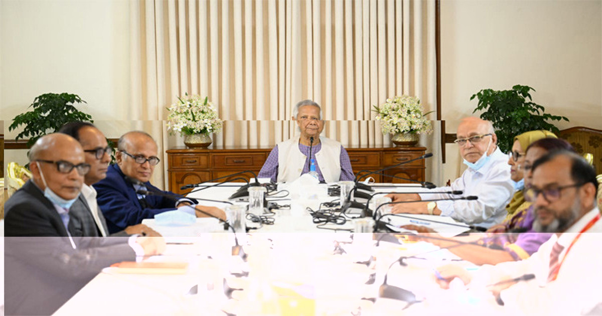 মুক্তিযুদ্ধের প্রকৃত ইতিহাস তুলে ধরার তাগিদ প্রধান উপদেষ্টার