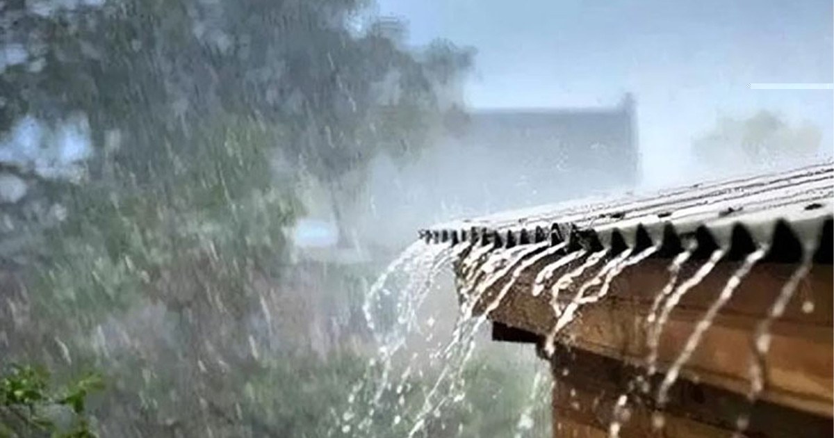 বৃষ্টি কোন জেলায় কত দিন, জানাল আবহাওয়া অফিস