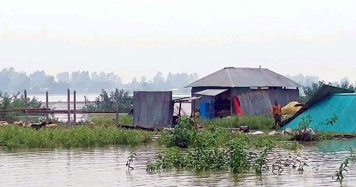 যমুনায় ভাঙন- বন্যা নয়, যেন নীরব ধ্বংসযজ্ঞ