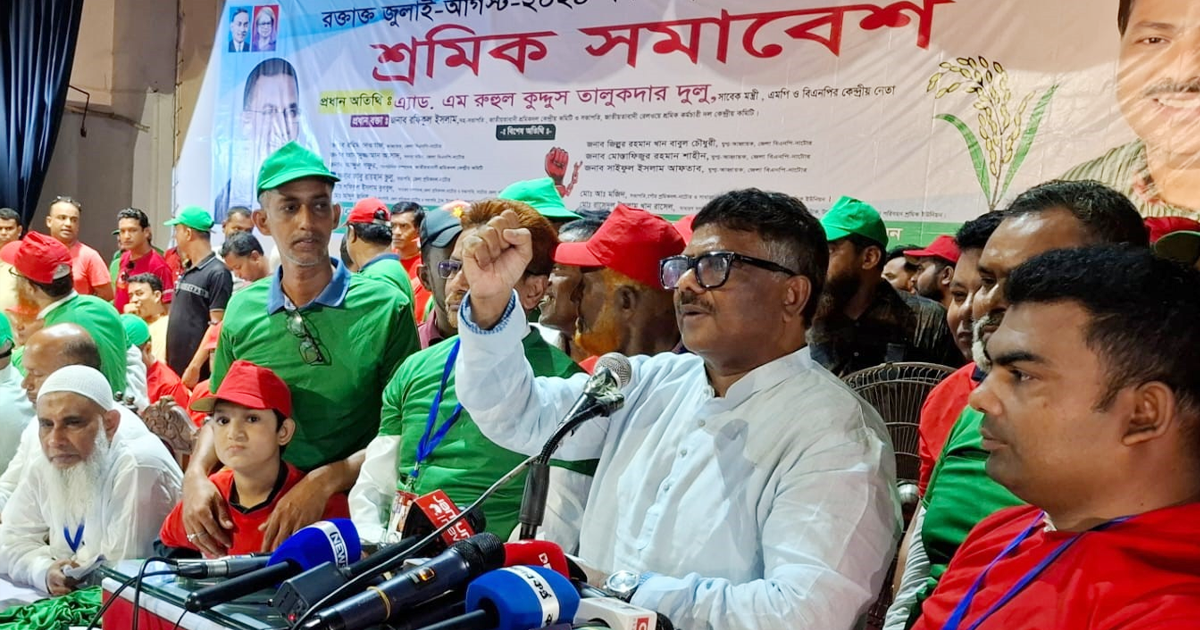 বিএনপিতে কোনো চাঁদাবাজ ও সন্ত্রাসীর জায়গা হবে না: দুলু