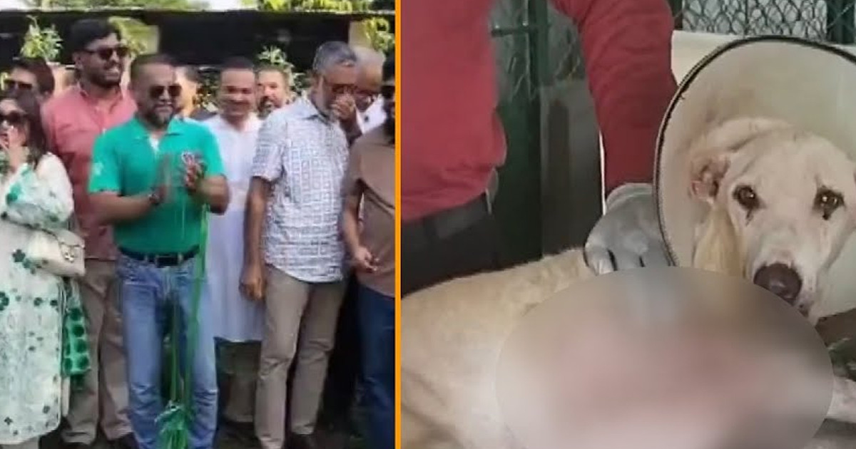 সাভারে দক্ষিণ এশিয়ার প্রথম ক্যানাইন ক্যান্সার চিকিৎসাকেন্দ্র