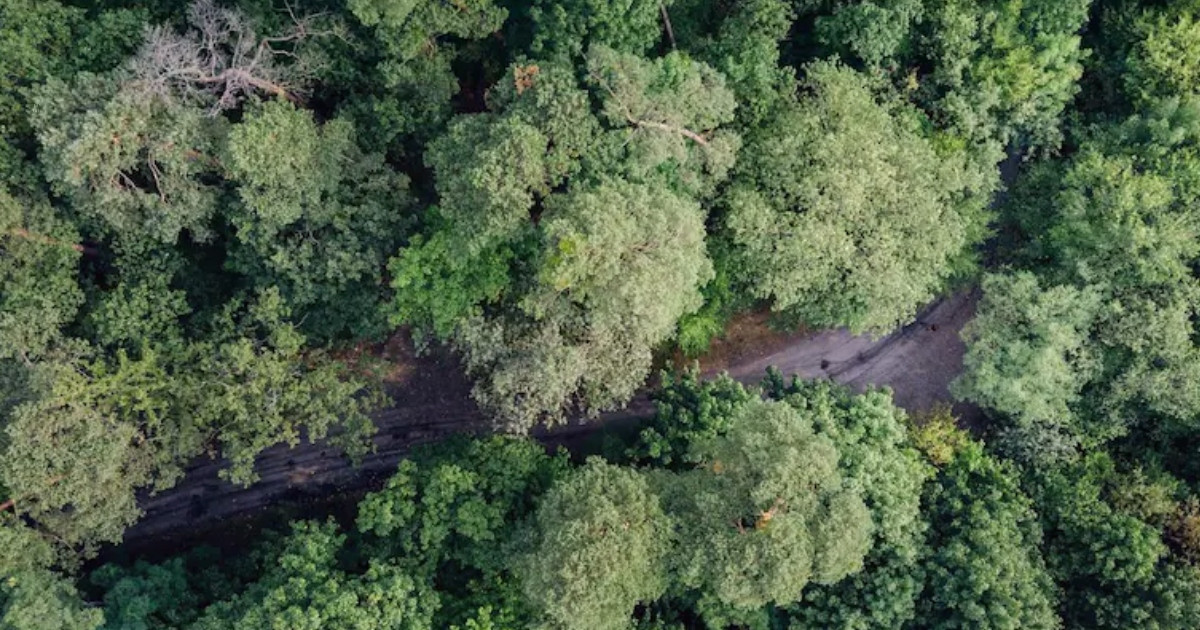 উত্তপ্ত মিয়ানমার-ভারত বর্ডার, ড্রোন হামলার দাবি