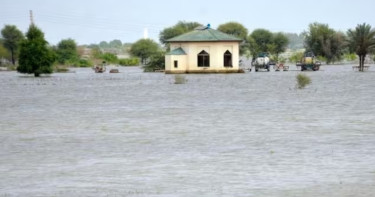 প্রবল বর্ষণে বিপর্যস্ত পাকিস্তান, মৃত ১০০ ছুঁইছুঁই