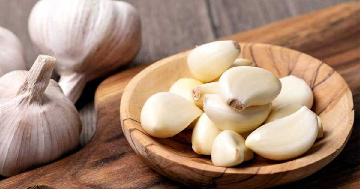 জেনে নিন কারা এড়িয়ে চলবেন রসুন