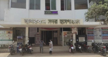বান্দরবানে বিদ্যুৎস্পৃষ্ট হয়ে ৩ ম্রো নারীর মৃত্যু