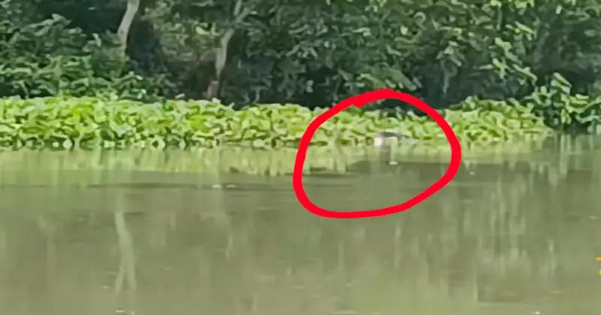 কোদলা নদীতে অজ্ঞাত ব্যক্তির মরদেহ উদ্ধার করল বিএসএফ