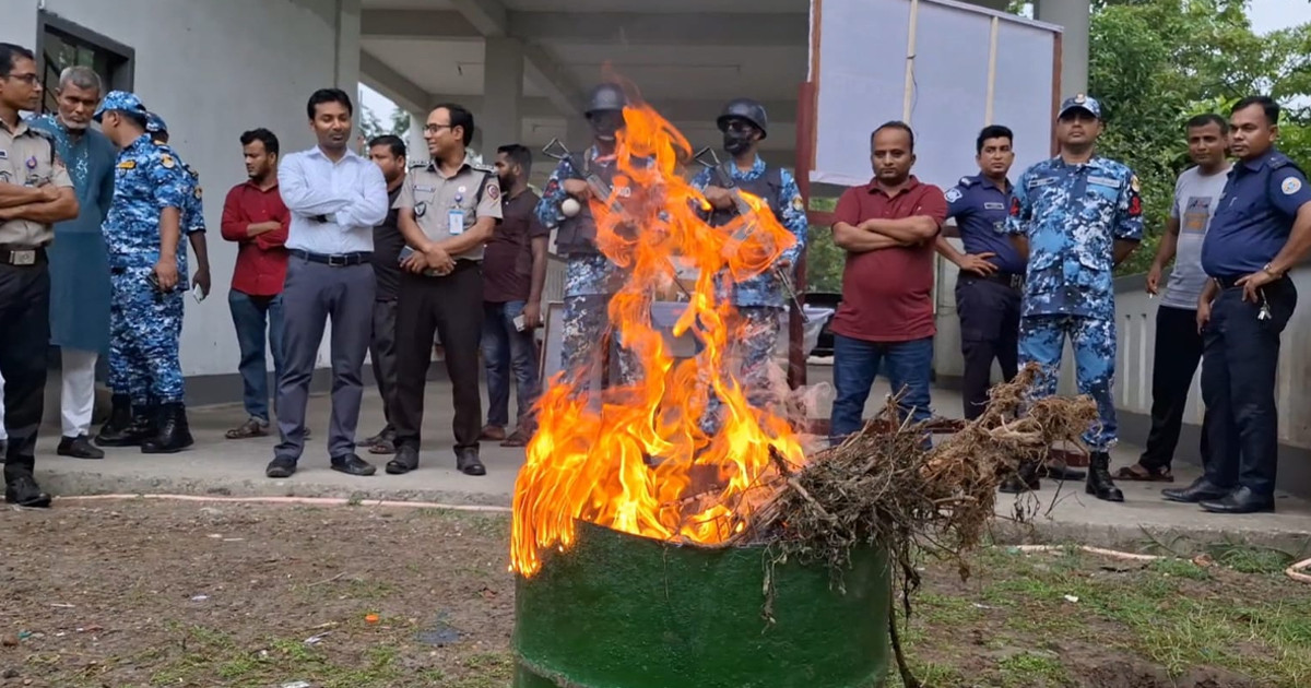 বরগুনায় যৌথ অভিযানে ৪ লাখ টাকার মাদকদ্রব্য ধ্বংস