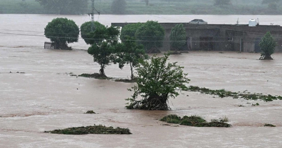 পাঞ্জাবে বন্যায় একদিনেই ৬০ জনের মৃত্যু, জরুরি অবস্থা জারি