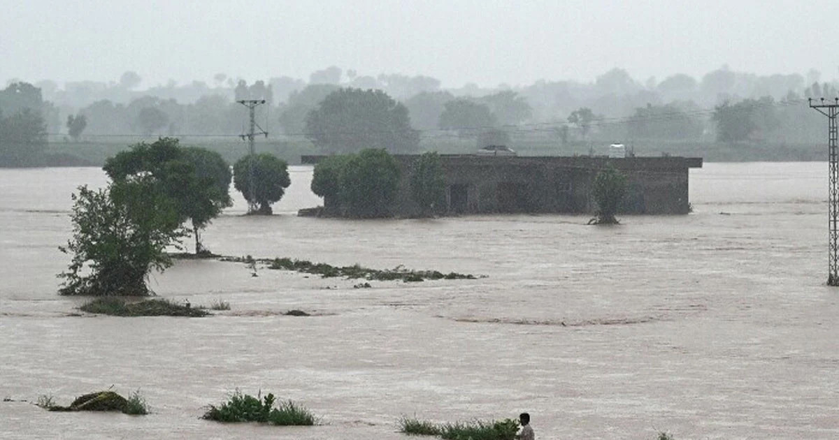পাকিস্তানে বন্যার ভয়াবহ রূপ, একদিনে ৬৩ জনের মৃত্যু