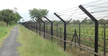 ভারতে গরু আনতে গিয়ে নিখোঁজ বাংলাদেশি তরুণ, ফিরেছেন চারজন
