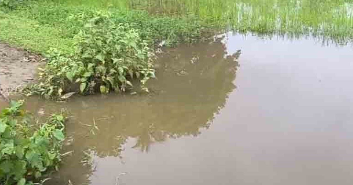সিরাজগঞ্জে ডোবায় পড়ে প্রাণ গেলো নারীর
