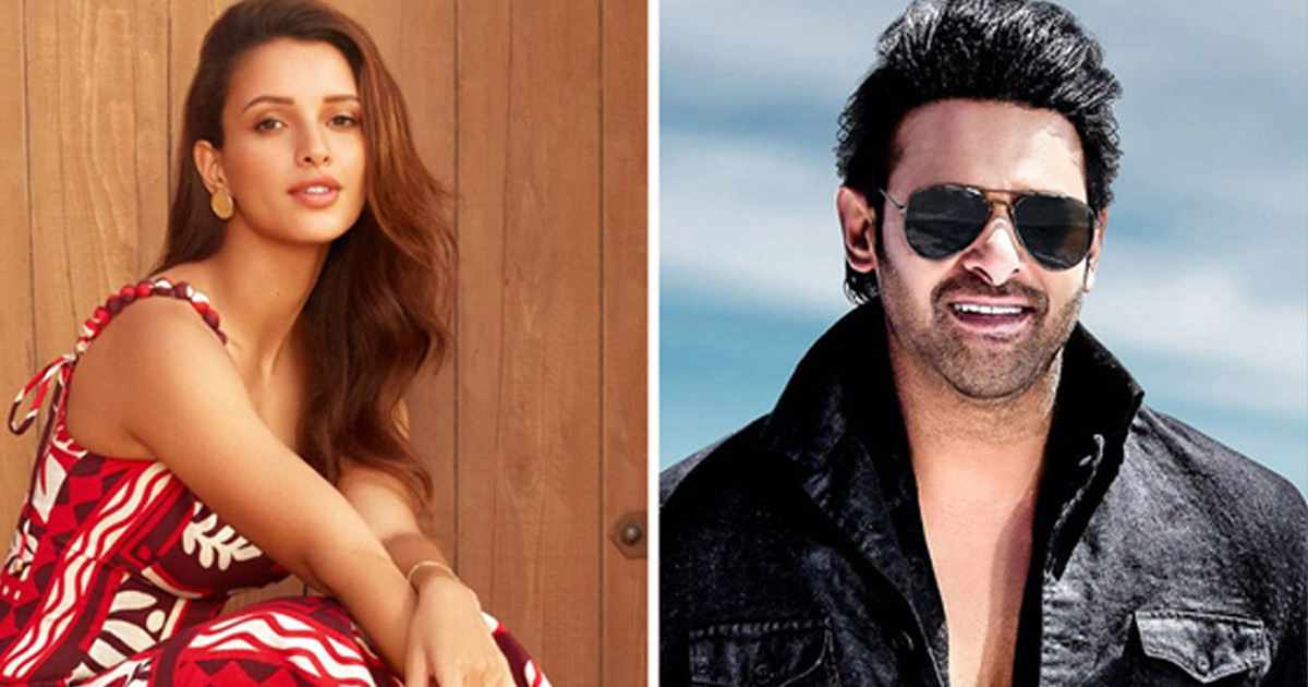 ‘অ্যানিমেল’ এর পর এবার তেলুগু ছবিতে তৃপ্তি দিমরি