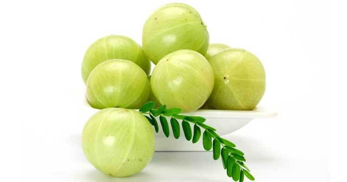 আমলকির ১০টি উপকারিতা