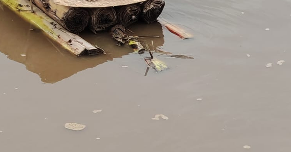 কলা গাছের ভেলায় কুড়িগ্রামে ভেসে এলো ভারতীয় শিশুর মরদেহ