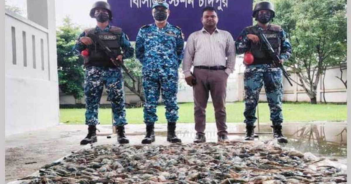 চাঁদপুরে প্রায় ১০ মণ জেলিযুক্ত চিংড়ি জব্দ