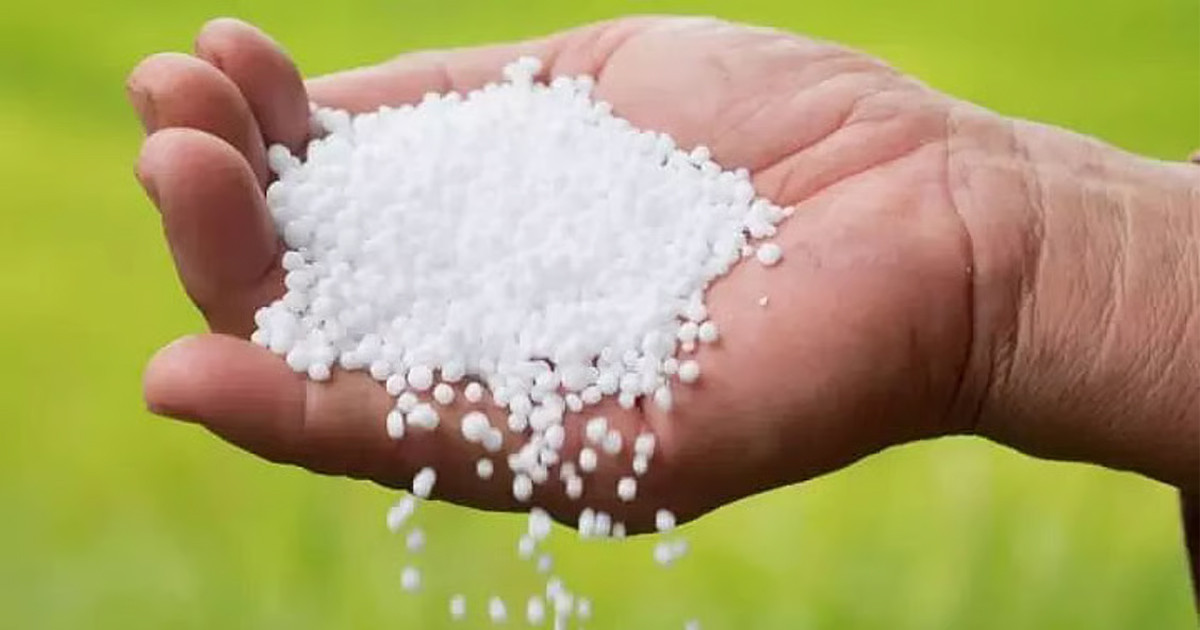 সৌদি আরব থেকে ইউরিয়া সার আমদানির অনুমোদন