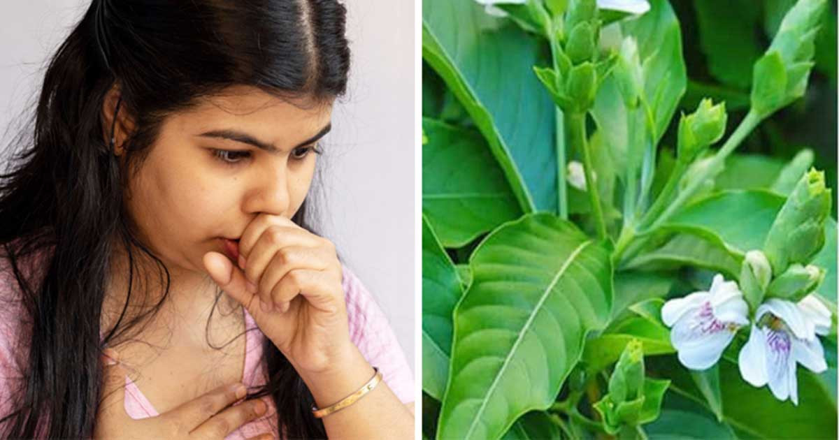 বৃষ্টির দিনে সর্দি-কাশি হলে কি করবেন?