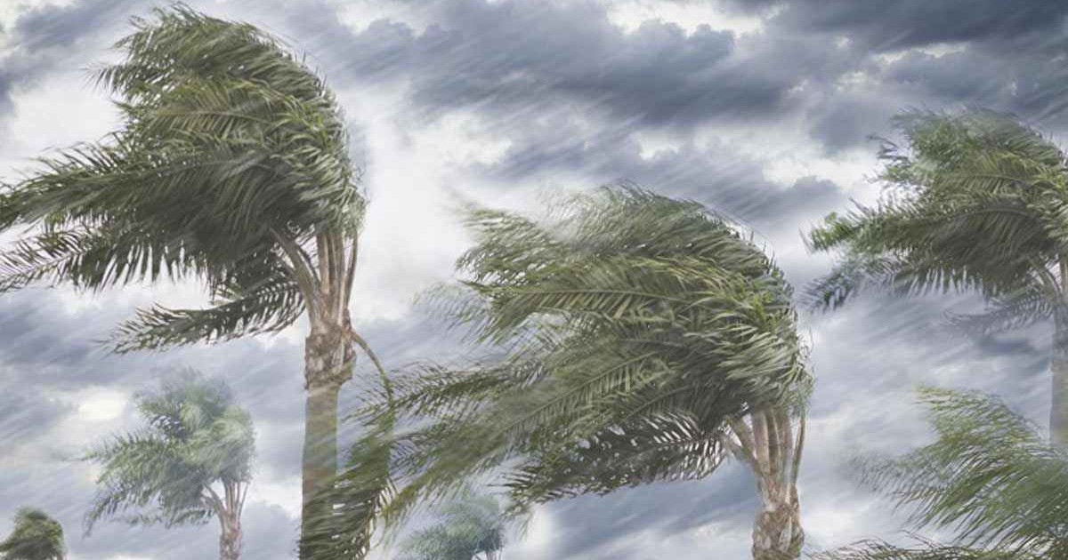 ঢাকাসহ ১২ অঞ্চলে ঝড়ো হাওয়ার আশঙ্কা, সতর্কতা