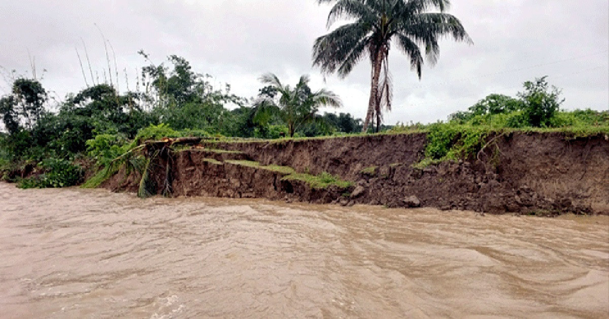 তীব্র ভাঙনে দিশেহারা নদীপাড়ের মানুষ