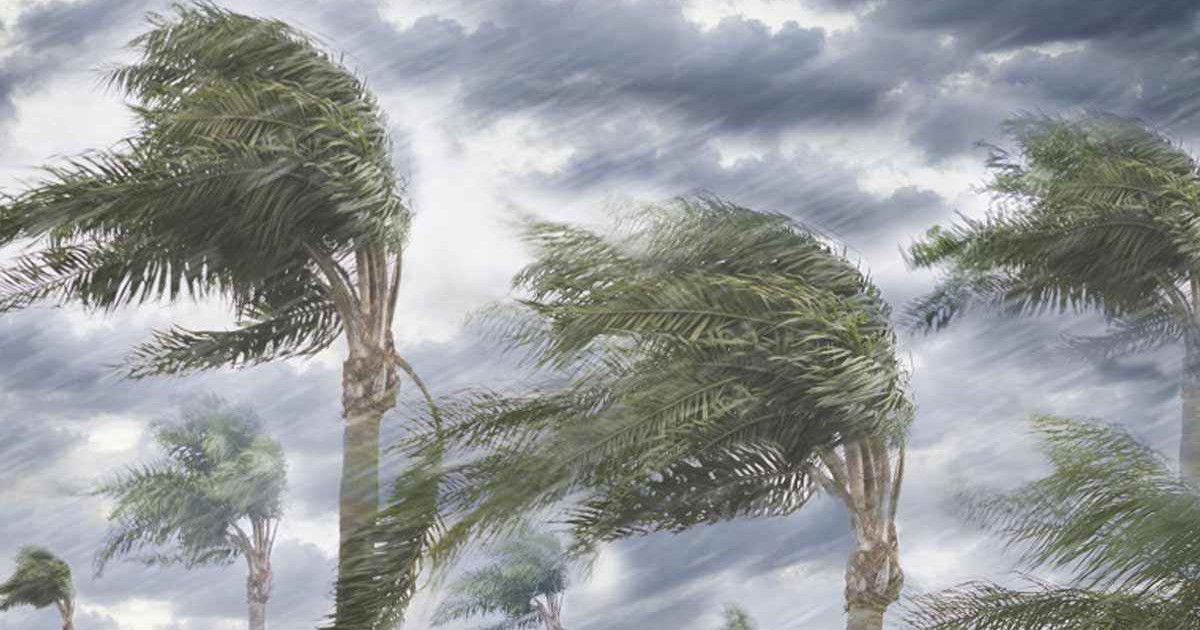 আগামী ৫ দিনের আবহাওয়া নিয়ে দুঃসংবাদ