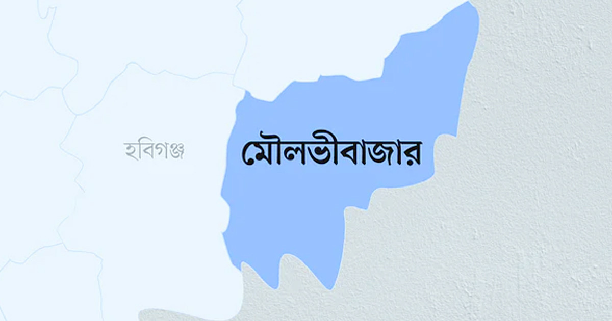 ছবি তুলতে গিয়ে বিএসএফের হাতে দুই কিশোর আটক, অত:পর বিজিবির হস্তক্ষেপে যা হলো