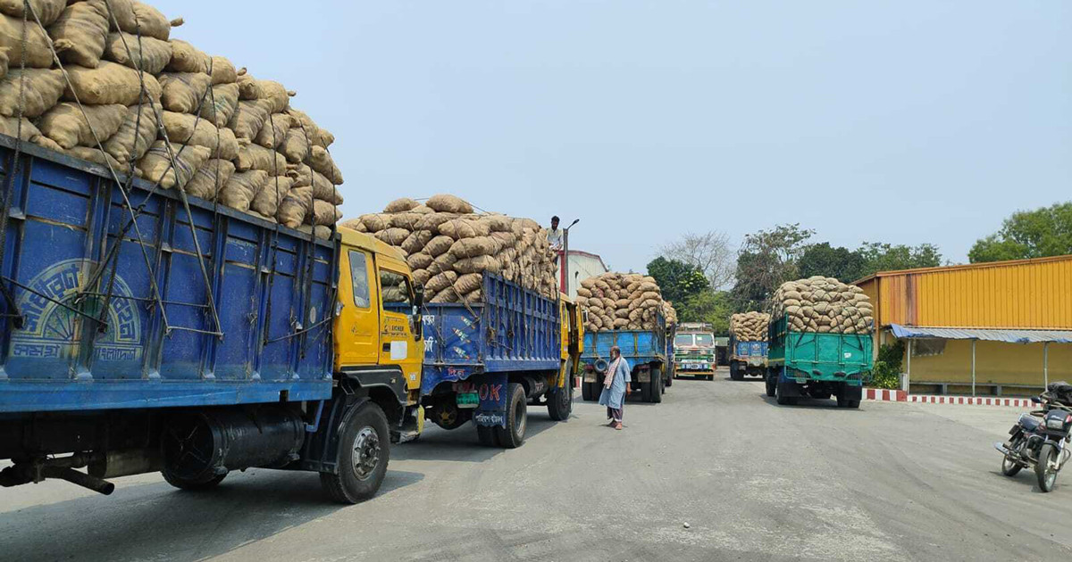 নেপালে গেল আরও ২৩১ মেট্রিক টন আলু