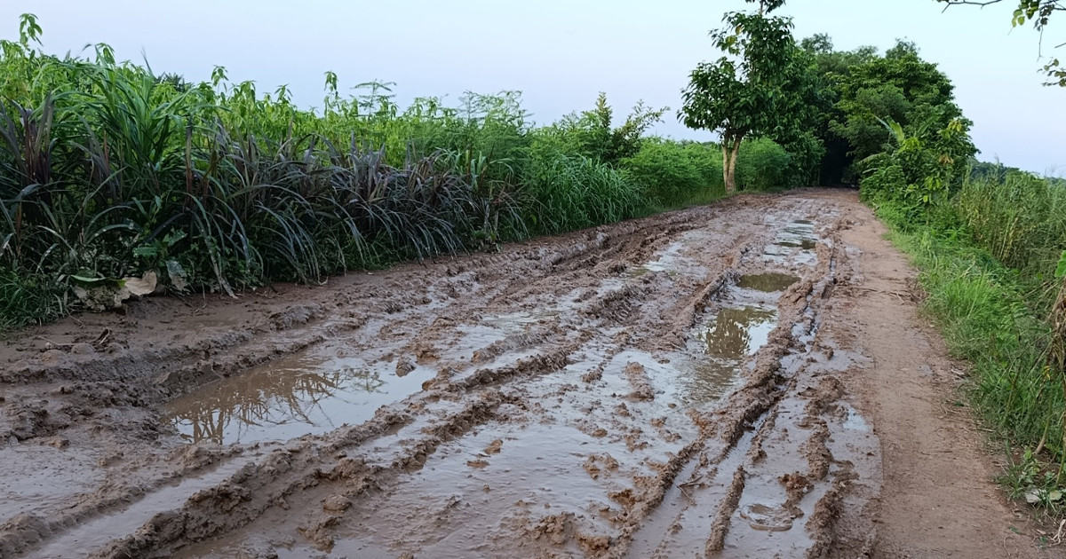 মাদারীপুরে ১০ হাজার মানুষের যোগাযোগের পথ যেন মরণফাঁদ