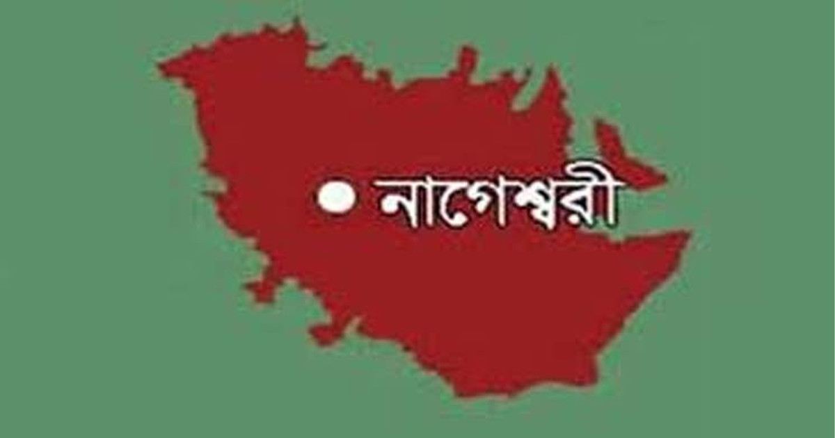 পল্লী চিকিৎসকের ভুল চিকিৎসার বলী নুরজাহান