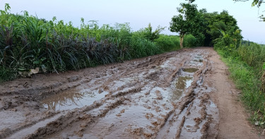 মাদারীপুরে ১০ হাজার মানুষের যোগাযোগের পথ যেন মরণফাঁদ