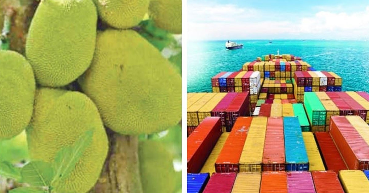 সমুদ্রপথে প্রথমবারের মতো কাঁঠাল রপ্তানি
