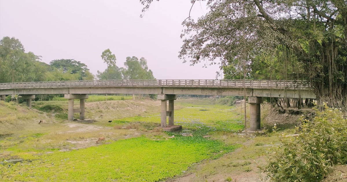 এবার গাজীপুরে ব্রিজের নিচে মিলল নারীর লাশ
