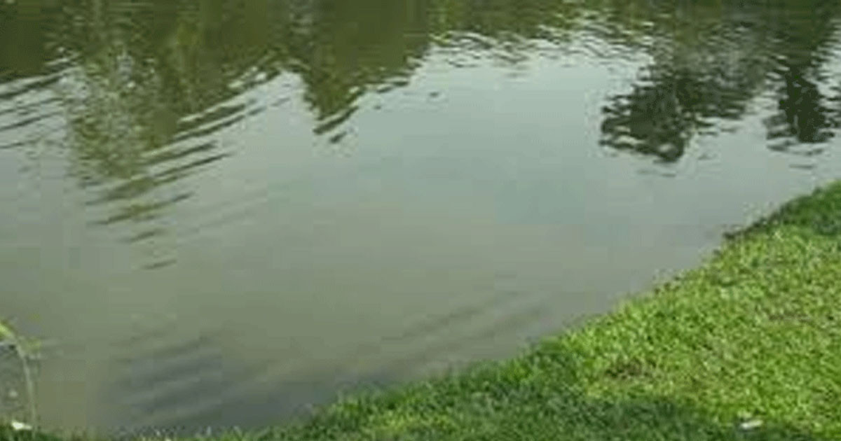শ্রীপুরে পানিতে ডুবে দুই শিশুর মৃত্যু