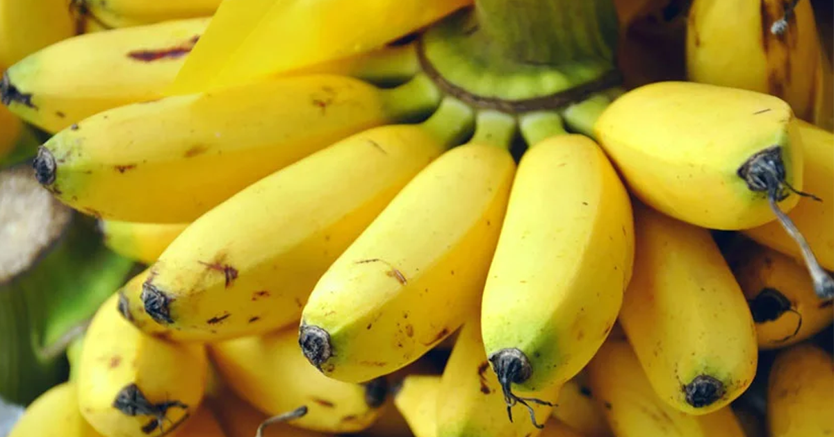 যে ৭ কারণে প্রতিদিন একটি কলা খাওয়া উচিত