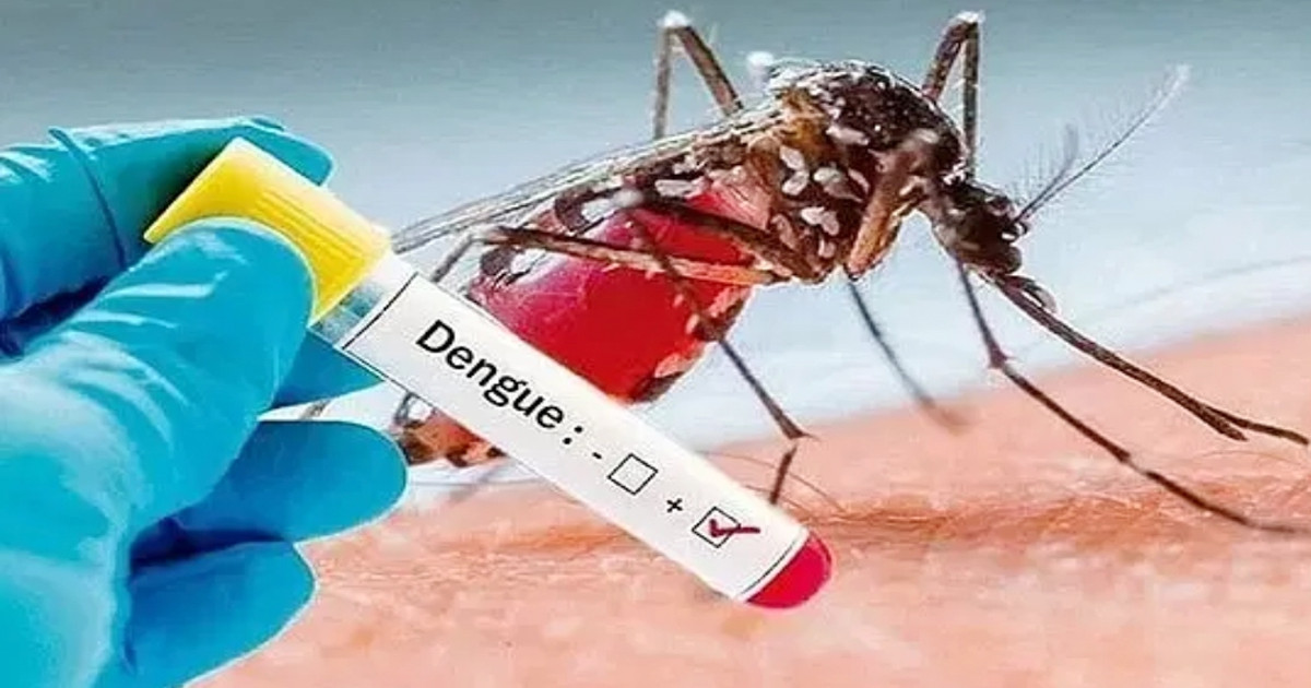 ডেঙ্গু থেকে বাঁচতে মেনে চলবেন যেসব নিয়ম