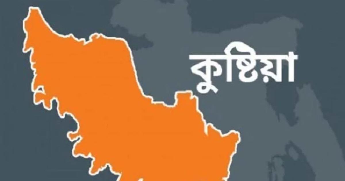 কুষ্টিয়ায় বজ্রপাতে প্রাণ গেল ২ কৃষকের