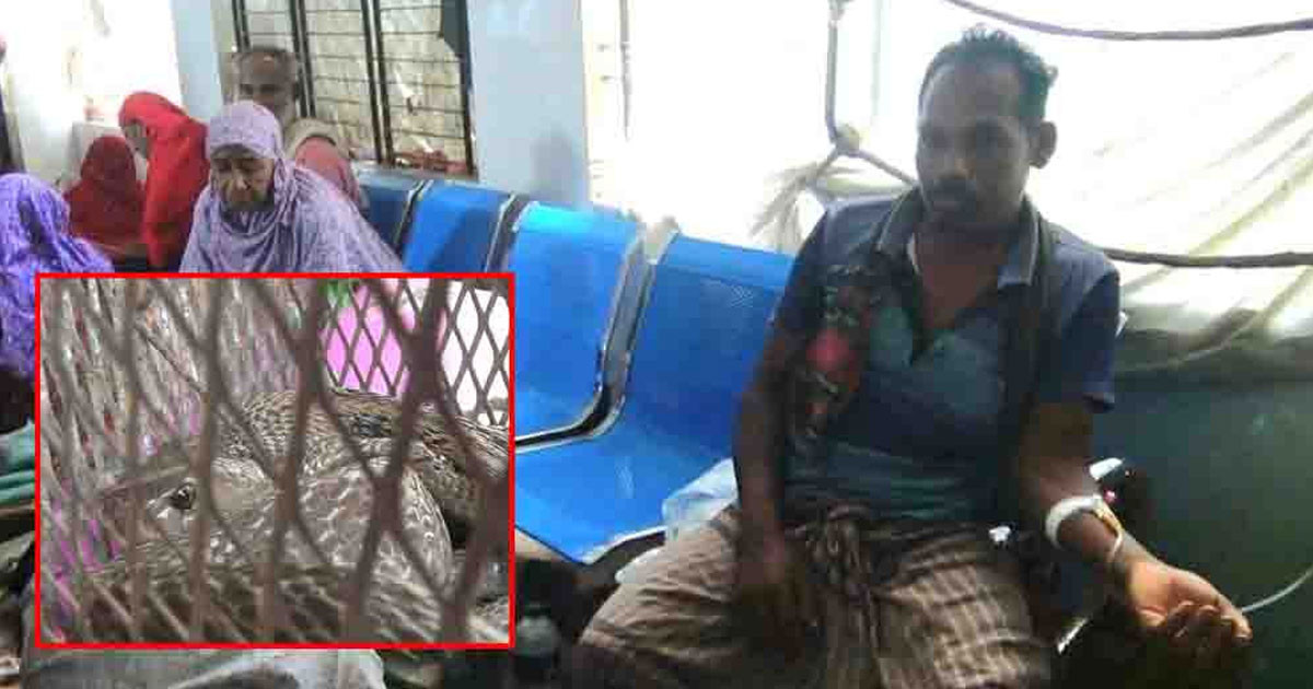 সাপে কাটা রোগী সাপ নিয়ে হাসপাতে হাজির