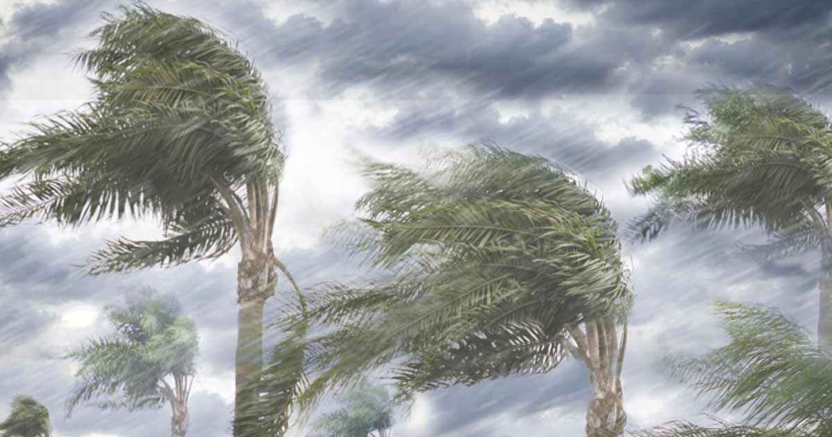 রাতেই যেসব অঞ্চলে ৬০ কিলোমিটার বেগে ঝড়ের আভাস