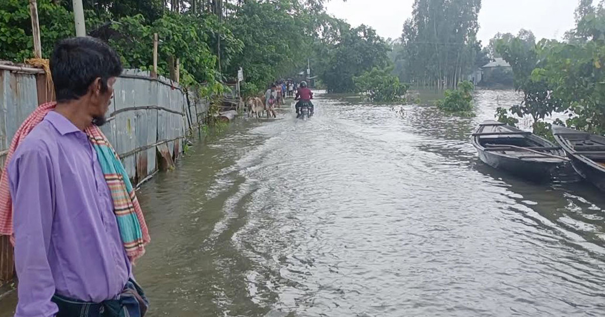 কুড়িগ্রামে ১৬ নদ-নদীর পানি বৃদ্ধি, তিস্তার ভাঙনে দিশেহারা মানুষ