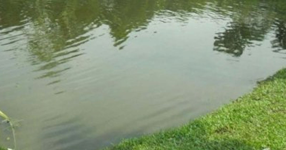ভাঙ্গায় নাতনিকে বাঁচাতে গিয়ে দাদির মৃত্যু